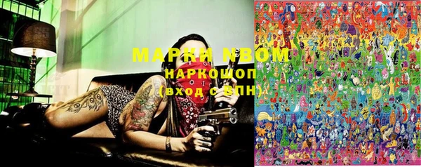 PSILOCYBIN Балахна