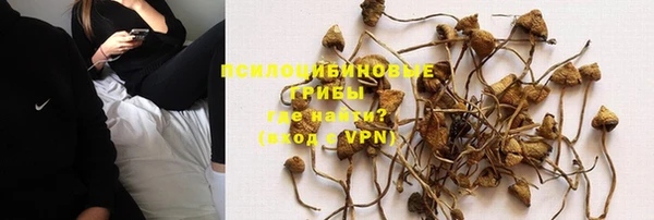 мдма Белокуриха
