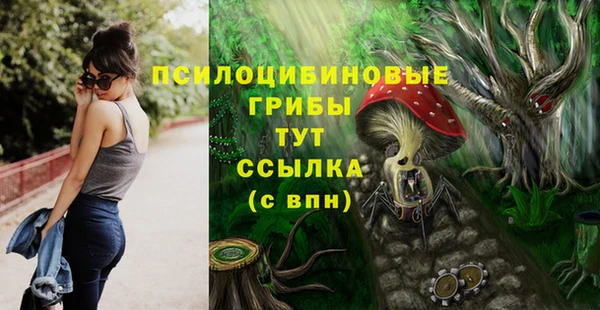 PSILOCYBIN Балахна